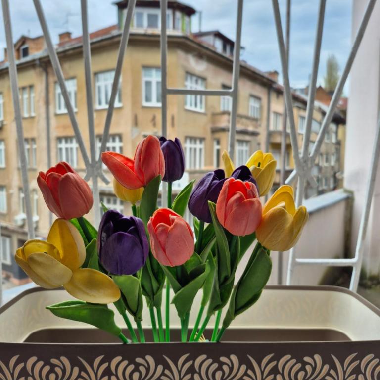 Tulip Apartment - One-Bedroom Apartment - 17