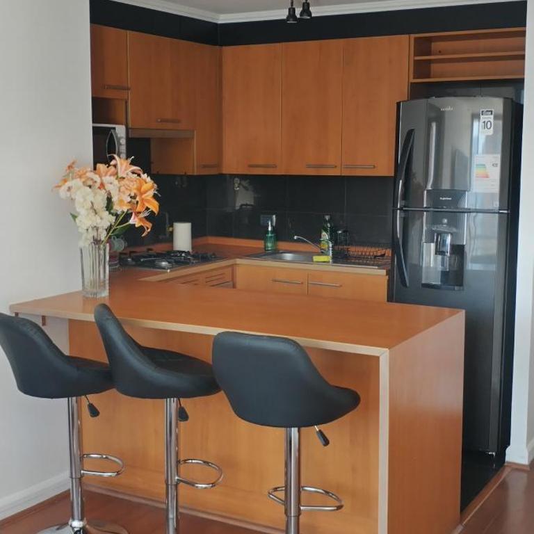 Nuevo Full Equipado Metro Manuel Montt - Apartamento de 2 dormitorios - 15