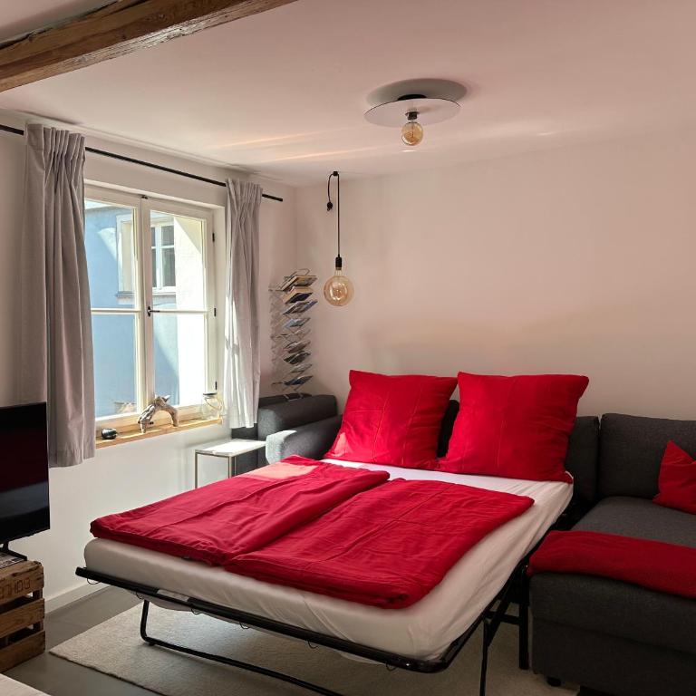 Im Rosenhof - One-Bedroom Apartment - 11