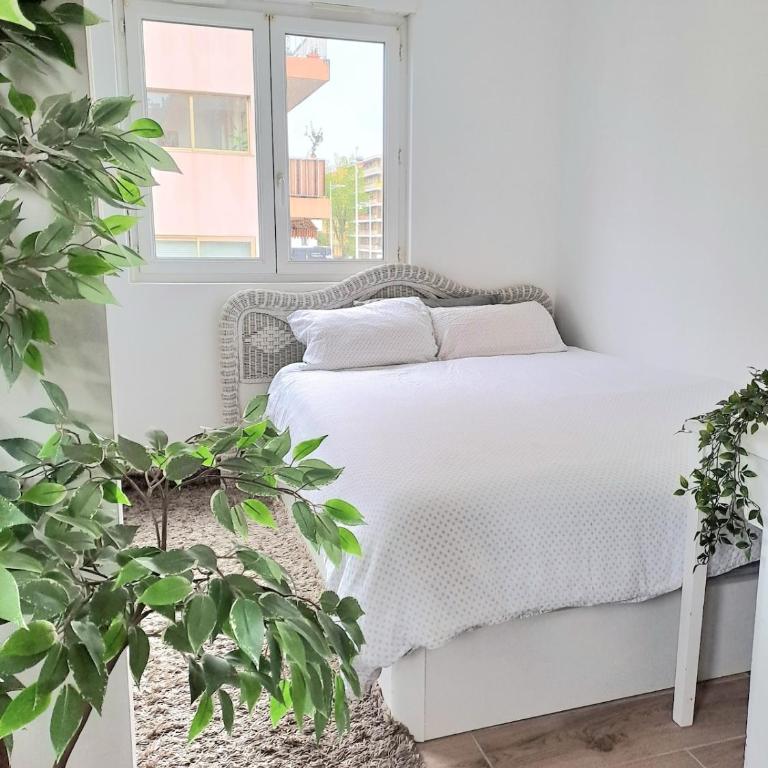 Charmant appartement cosy plage, gare, centre-ville - Studio - 5