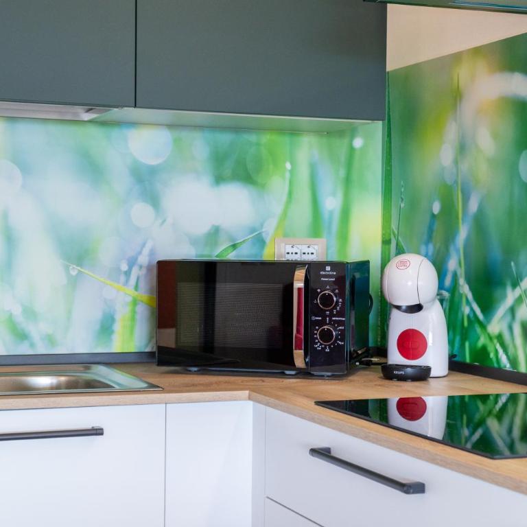Relais Val del Tei - Appartamento con 1 Camera da Letto e Balcone - 10