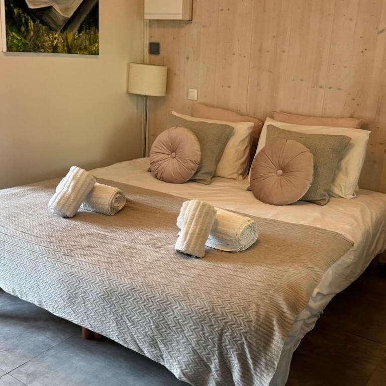 Light spacious, recently refurbished Studio near to Courchevel - Apartment mit 1 Schlafzimmer - 20