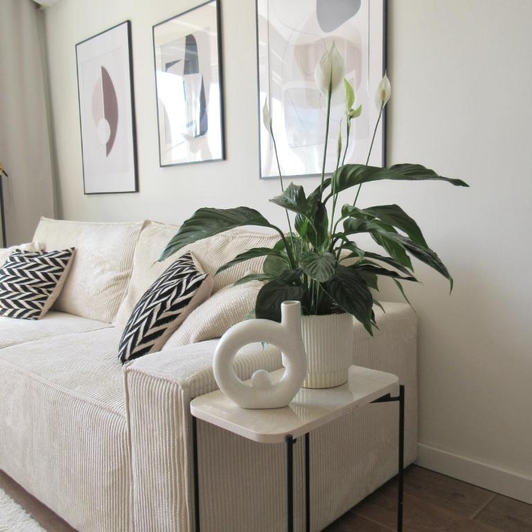 Japandi Home - Apartment - 4