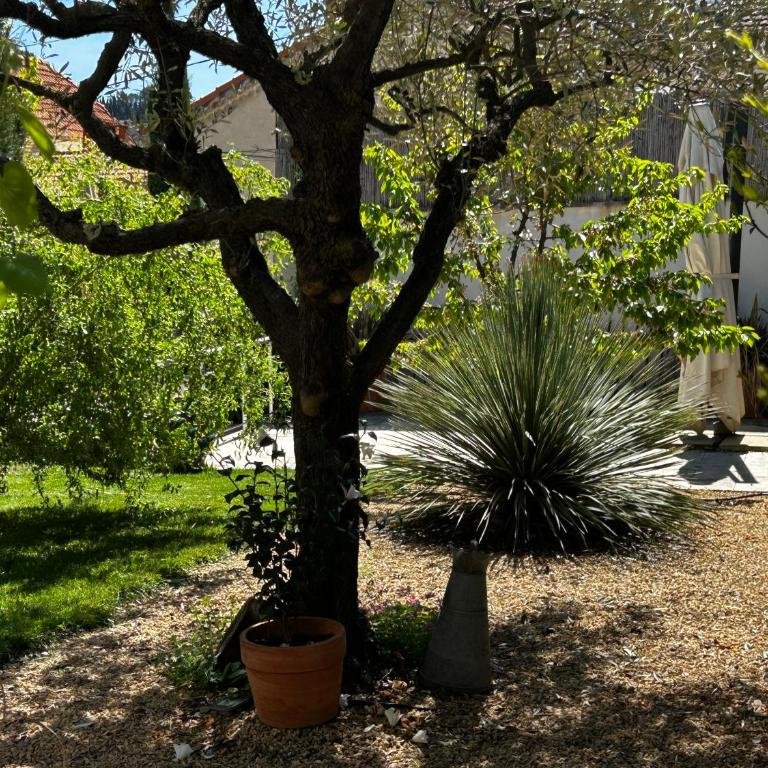 Villa 14 - Villa avec Piscine Privée - 15