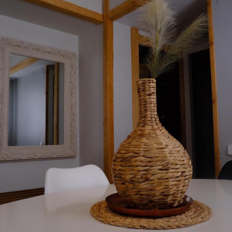 Apartamento Homely Foratata - Apartment - 5
