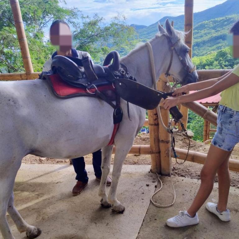 El Eden Glamping cabañas Girardot - Casa de campo - 7