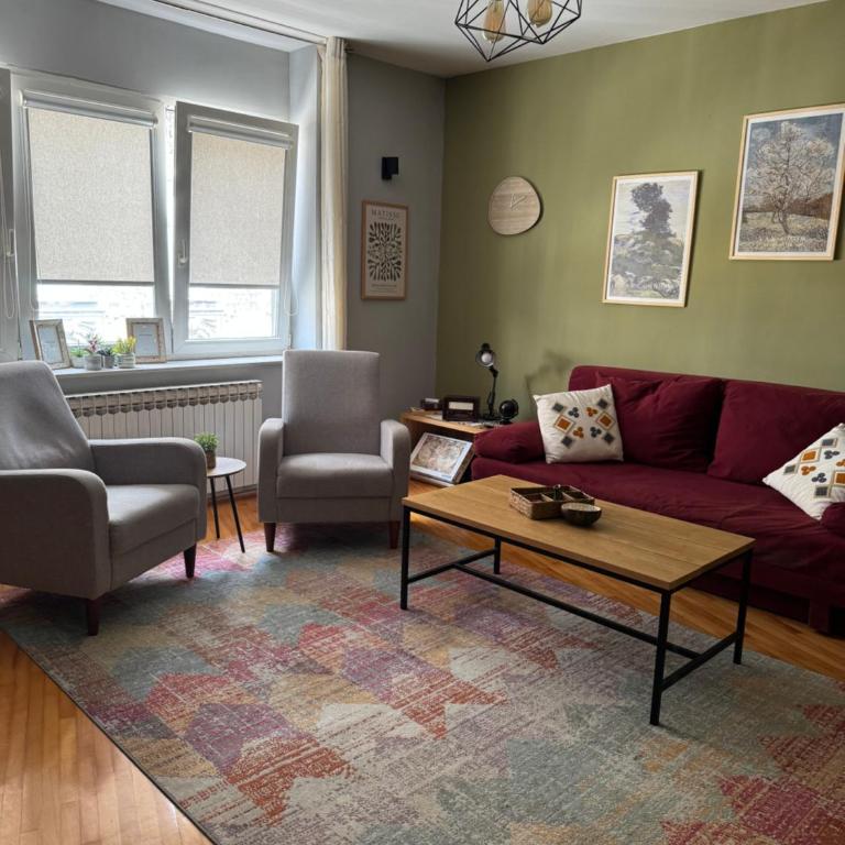 Old Town Ferhadija Apartments - Apartman sa 1 Spavaćom Sobom - 7