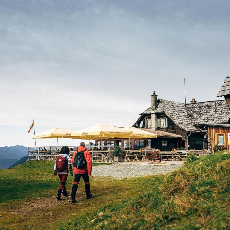 Luxescape-Traumaussicht-Wandergebiet-Paragleiten-Mountainbiken-Erlebnis CARD - Apartment mit 1 Schlafzimmer und Aussicht - 13