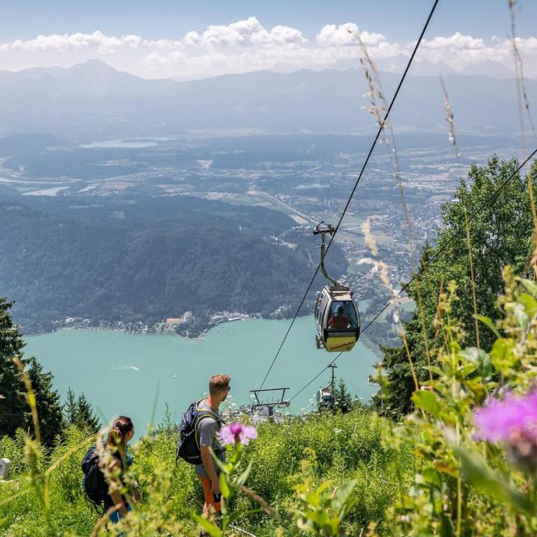 Luxescape-Traumaussicht-Wandergebiet-Paragleiten-Mountainbiken-Erlebnis CARD - Apartment mit 1 Schlafzimmer und Aussicht - 15