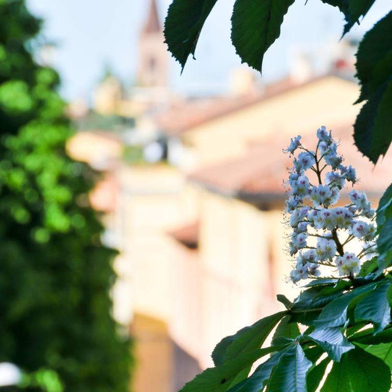 B&B Al Parco Giardini Margherita - Twin Room with Private Bathroom #1 - 11