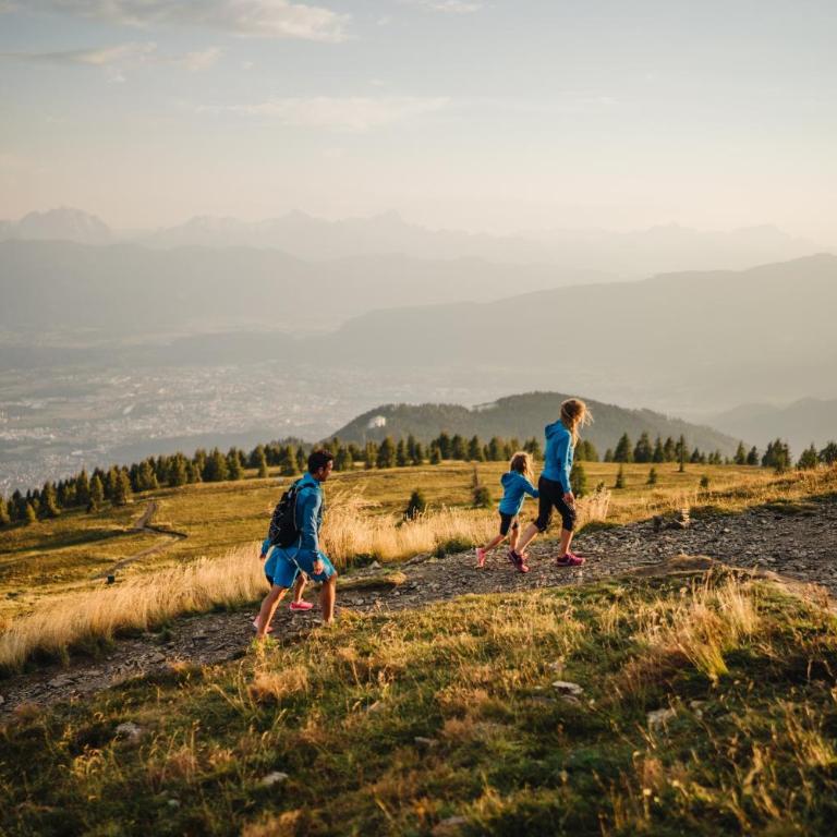 Luxescape-Traumaussicht-Wandergebiet-Paragleiten-Mountainbiken-Erlebnis CARD - Apartment mit 1 Schlafzimmer und Aussicht - 18