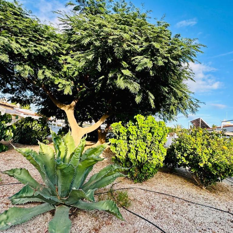 Sunny Summer Places - Apartamento de 1 dormitorio - 13