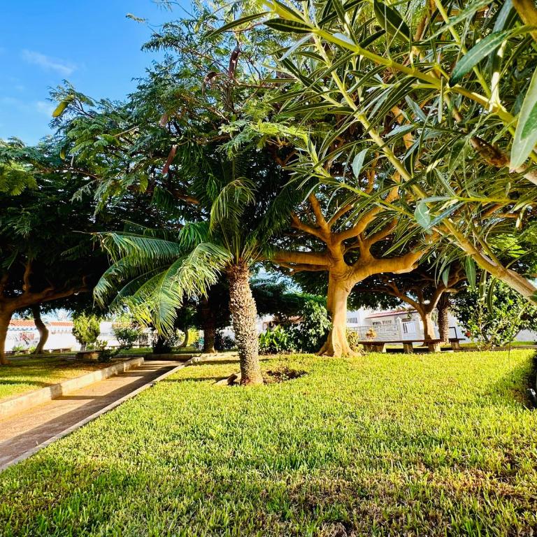 Sunny Summer Places - Apartamento de 1 dormitorio - 15