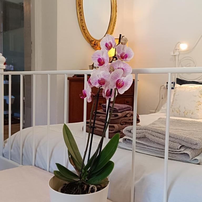 La Graziosa in Villa wifi parcheggio gratuito self check-in zona Lerici Guercio - Villa con 3 Camere da Letto - 26