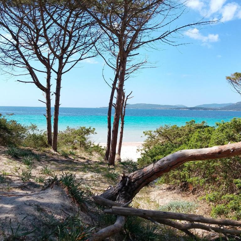 Casa MaRì, a due passi dal mare - Two-Bedroom Apartment - 16