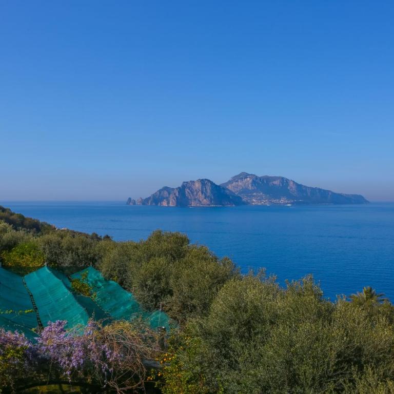 De Vivo Realty - Villa Blue Skyline - Villa con Vista Mare - 46