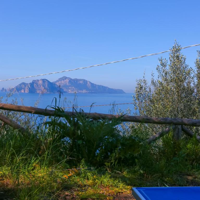 De Vivo Realty - Villa Blue Skyline - Villa con Vista Mare - 65