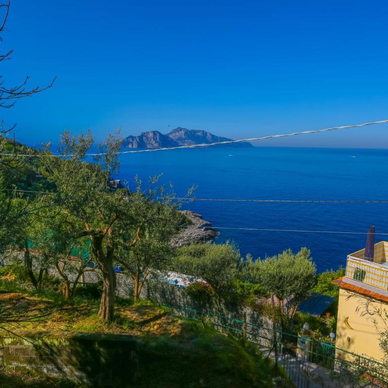 De Vivo Realty - Villa Blue Skyline - Villa con Vista Mare - 66