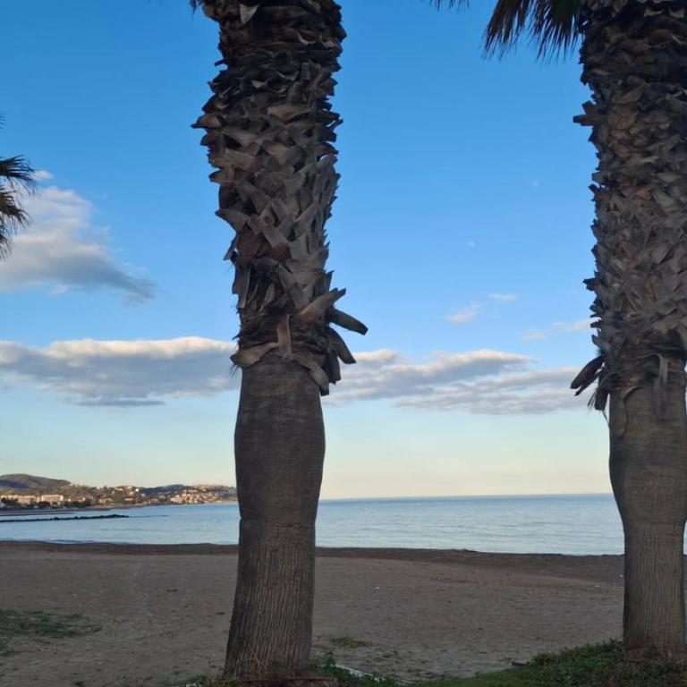 Apartamento Sr Mateu - One-Bedroom Apartment - 34