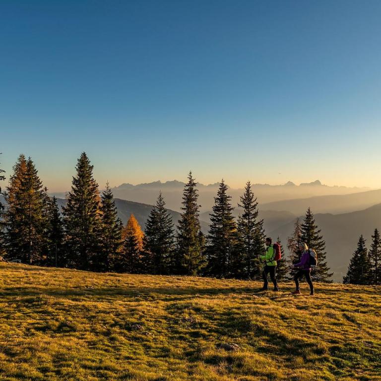 Luxescape-Chalet Apartement Almzeit-Wandern-Traumaussicht-Sauna-Naturschutzgebiet - Apartment mit Blick auf die Berge - 1