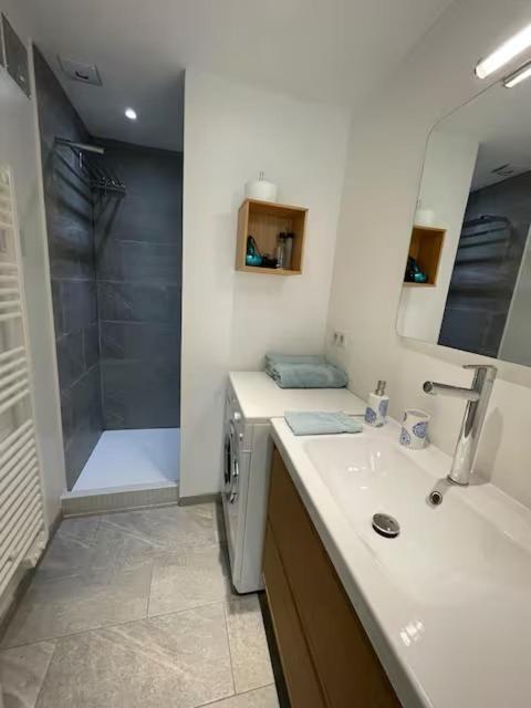 Charmant T2 classé 3 étoiles jardin arboré climatisé parking - Appartement 1 Chambre - 21