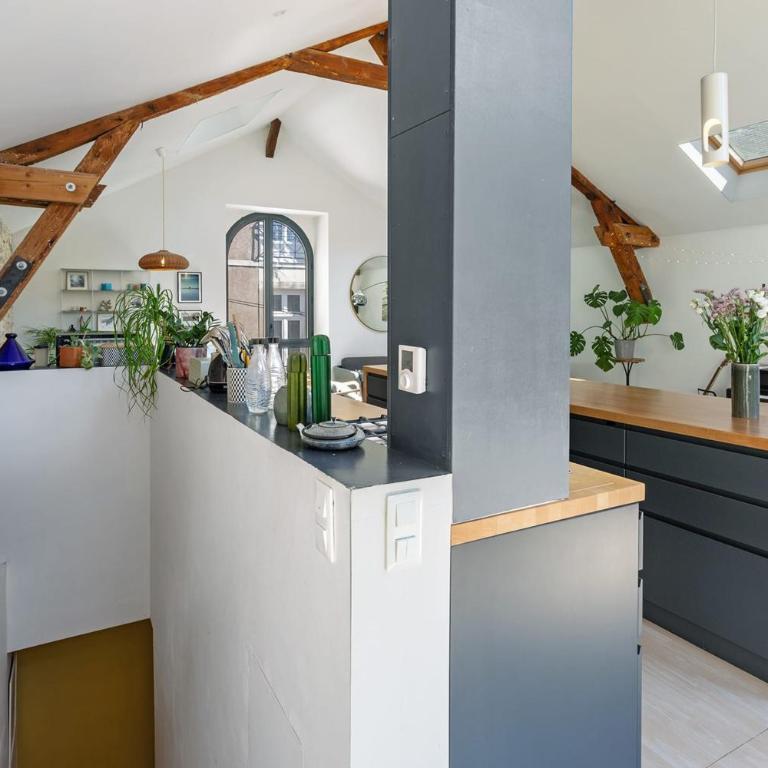 Loft sur l'Erdre à 2 pas du Centre ville - Maison de Vacances - 21