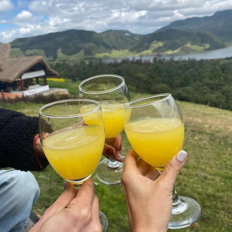 Casa Jaguar Neusa - Two-Bedroom Apartment - 31