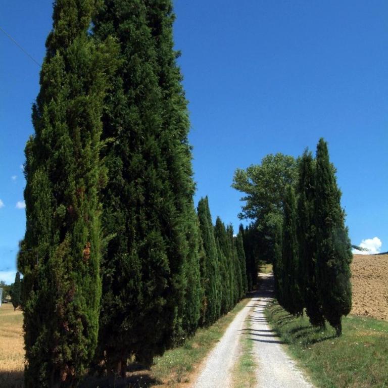 Villa Il Giardinello - Villa with Private Pool - 40