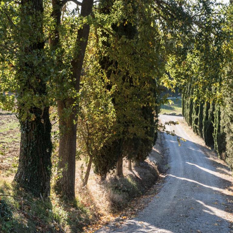 Villa Il Giardinello - Villa with Private Pool - 43