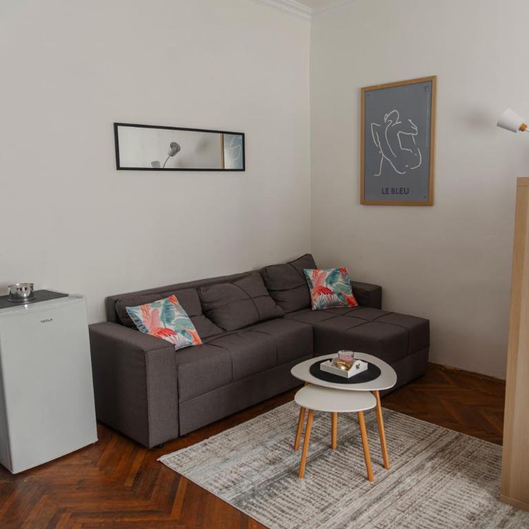 Obilicev venac DM - One-Bedroom Apartment - 15
