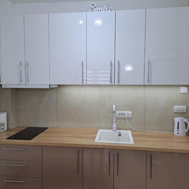 Apartman Sofija - Apartman sa 1 Spavaćom Sobom - 9