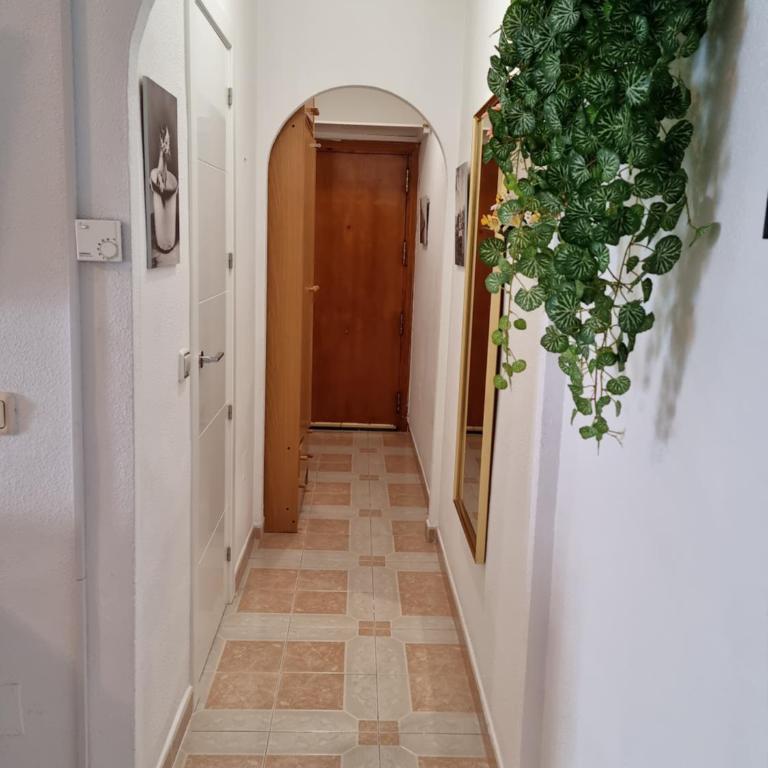 Nice studio,10 min to Del Cura beach with swim.pool - Studio Apartment - 8