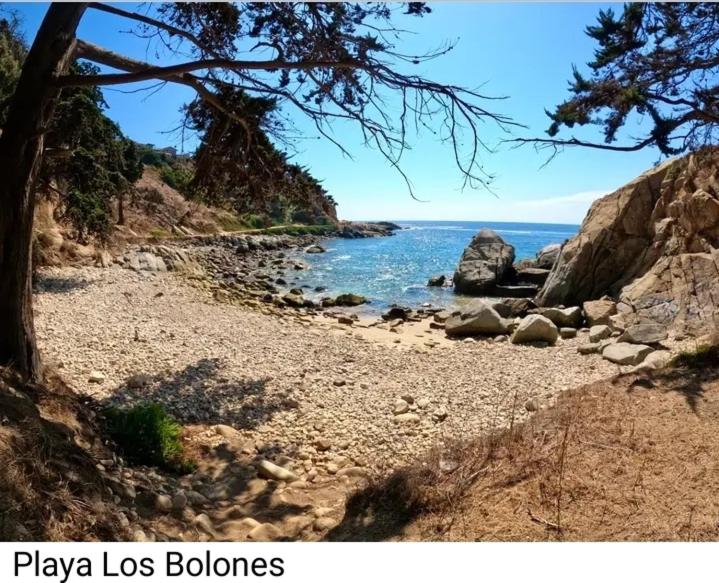 Cabaña quintero viña del mar chile - Apartamento de 1 dormitorio - 21