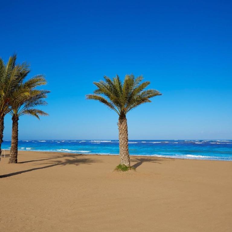 Apartamento Boho Chic a 200 m del Mar - Two-Bedroom Apartment - 19