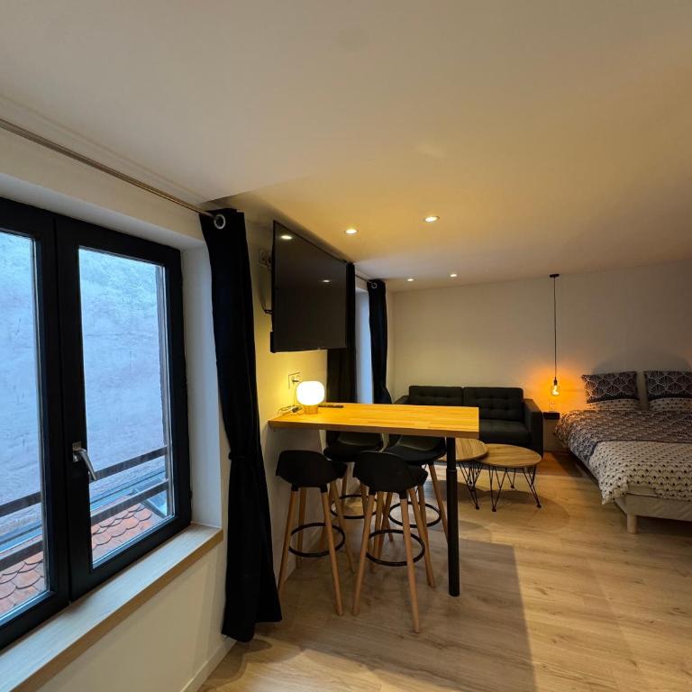 Grand Studio - Au Faubourg - Strasbourg Centre - Apartamento - 7