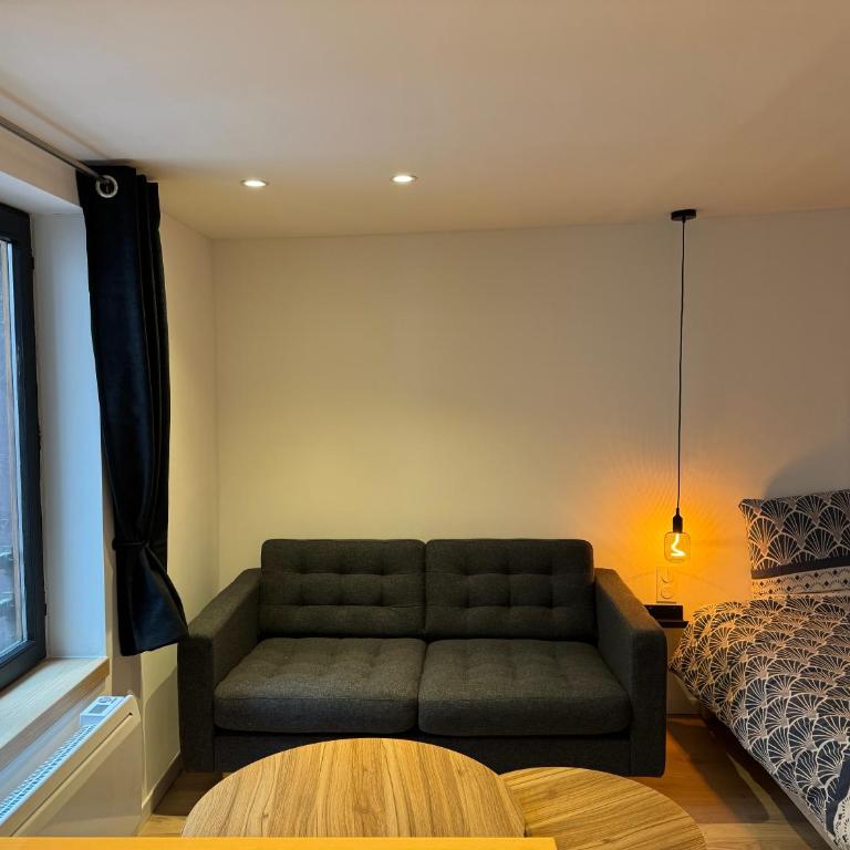 Grand Studio - Au Faubourg - Strasbourg Centre - Apartamento - 4