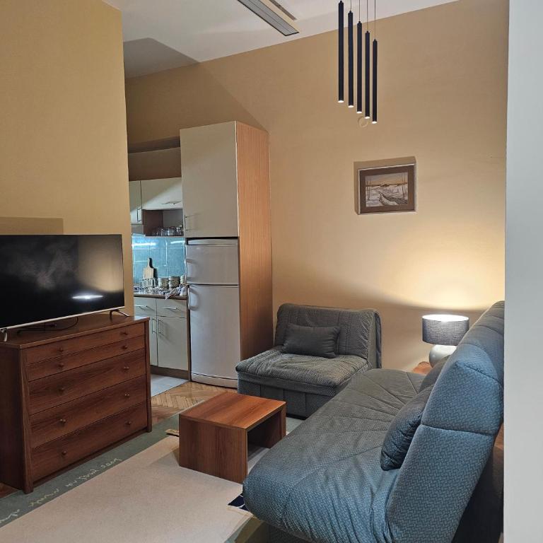 Zlatiborski šumski stan - One-Bedroom Apartment - 6