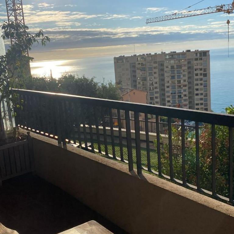 Une terrasse sur Monaco logement 2 chambre - Appartement 2 Chambres - 9
