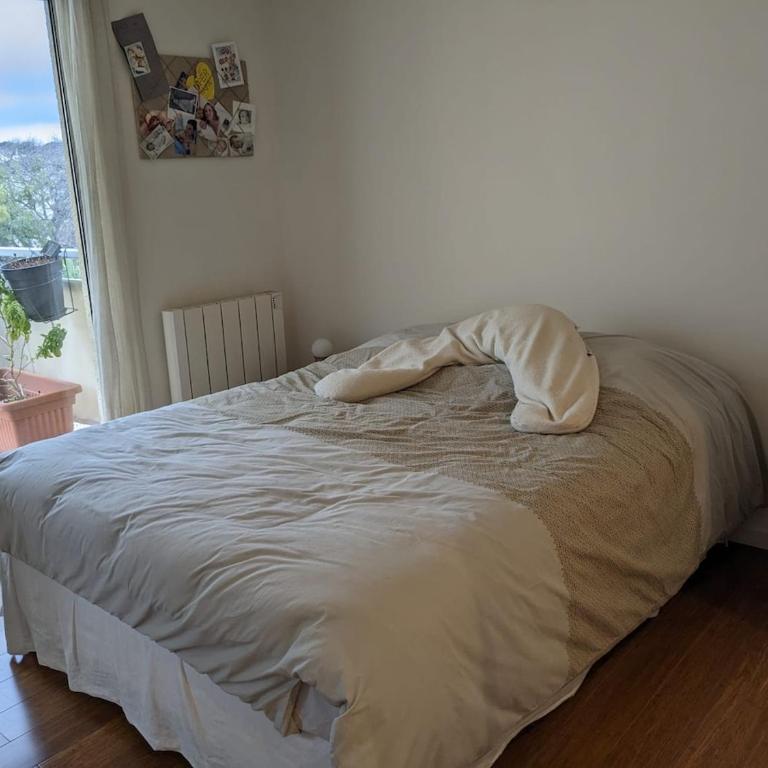Grand duplex, terrasse vue mer et montagne - Appartamento con 3 Camere da Letto e Vista Mare - 15