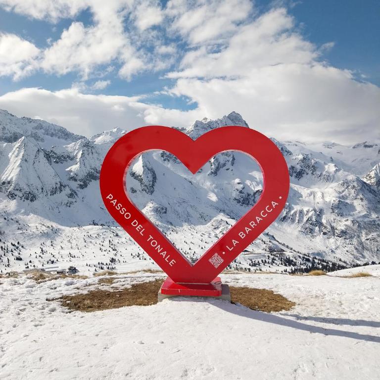 Apartman276eu Passo del Tonale - Appartamento con 2 Camere da Letto - 20