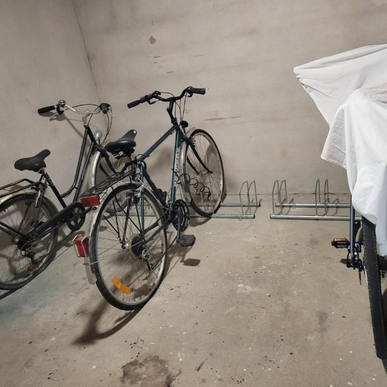 La Cormorane - Appartement 1 Chambre - 15