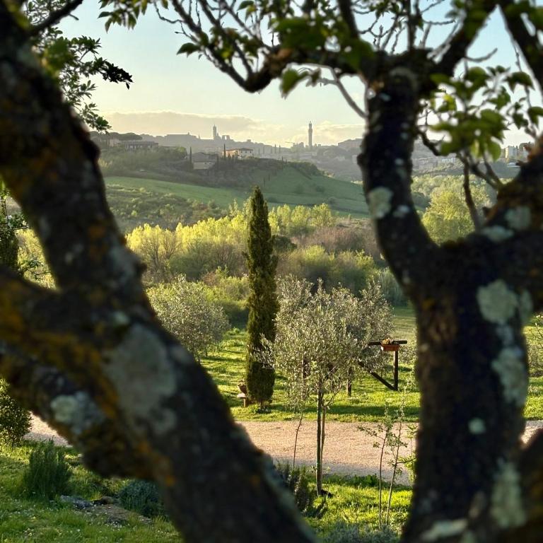 Agriturismo La Corte del Sole - Appartamento con 1 Camera da Letto - 18