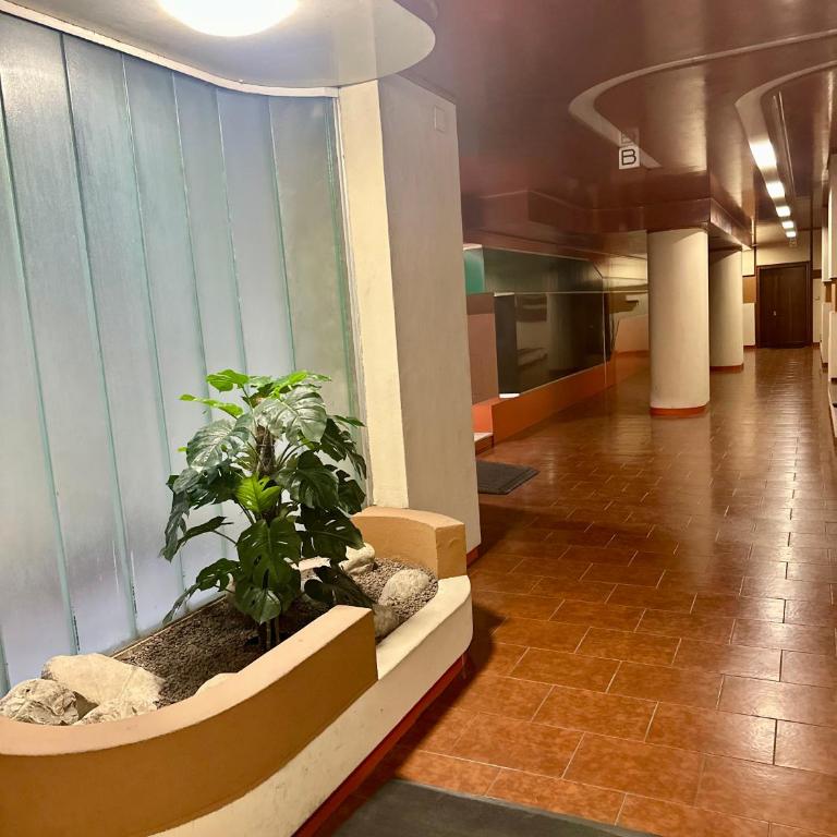 Marellini Lido Nord - Appartamento con 2 Camere da Letto e Balcone - 50