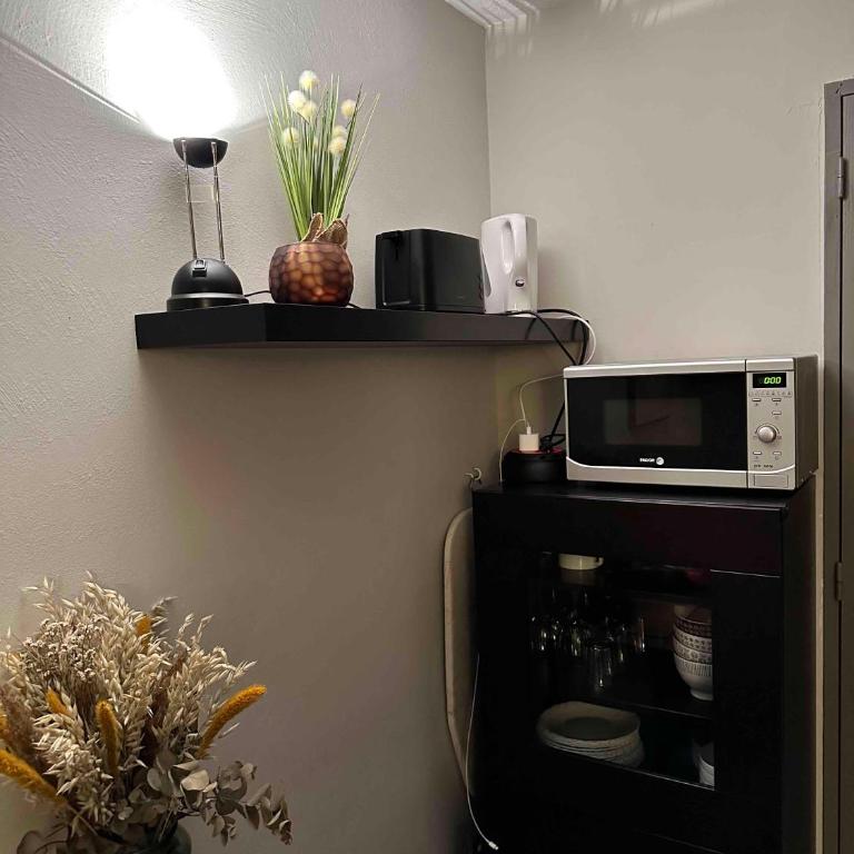 Studio 24 m2 - Classé 2 étoiles - LA MONGIE TOURMALET - Pied des Pistes - Balcon Plein Sud - Parking Public - Studio - 11