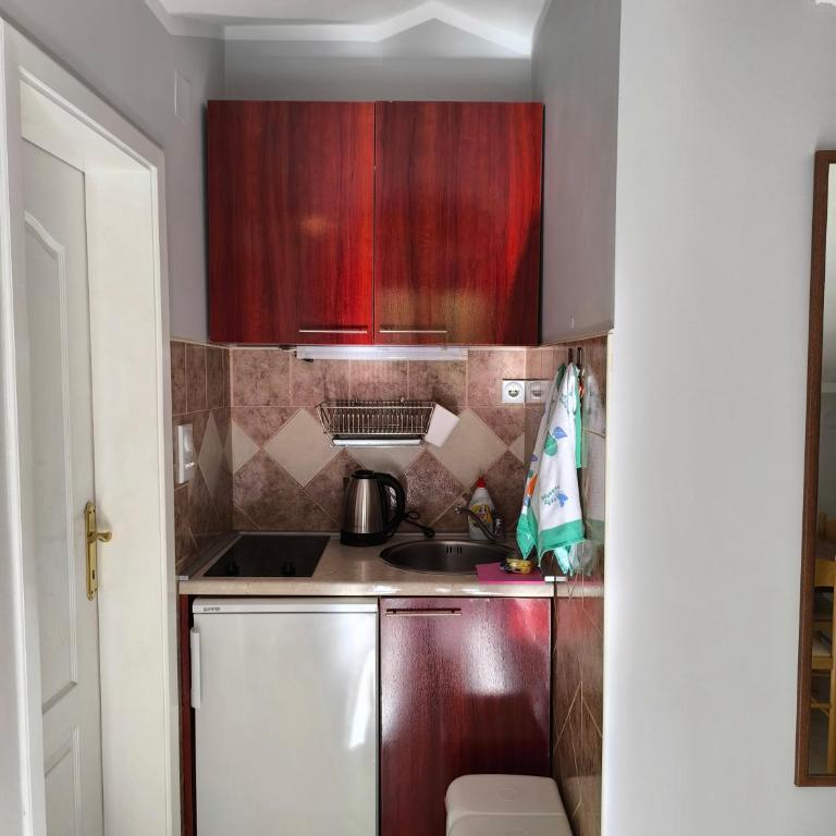 Apartments Djurovic - Studio with Garden View - 3