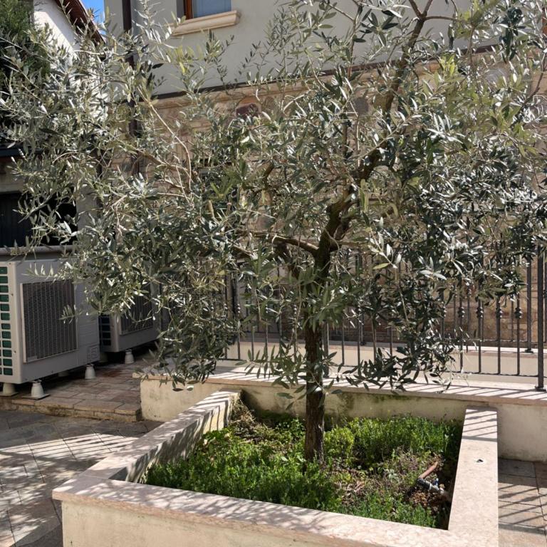 Le residenze del Lugana - Apartment mit 1 Schlafzimmer - 10
