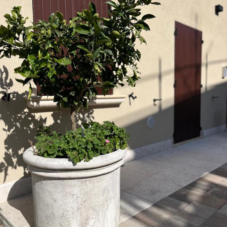 Le residenze del Lugana - Apartment mit 1 Schlafzimmer - 17
