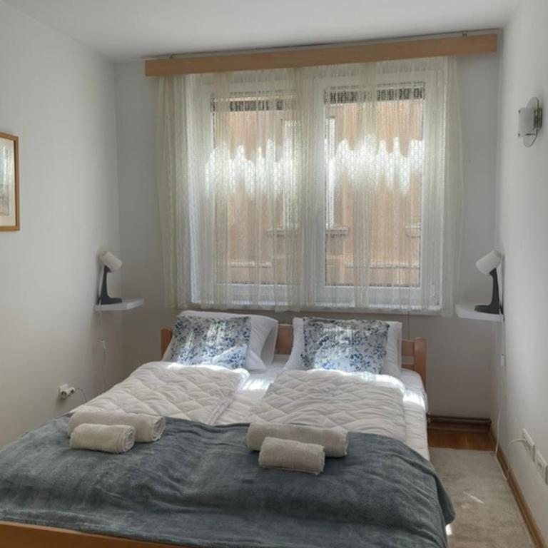 Apartment RENA - private parking - Apartman sa 1 Spavaćom Sobom - 3