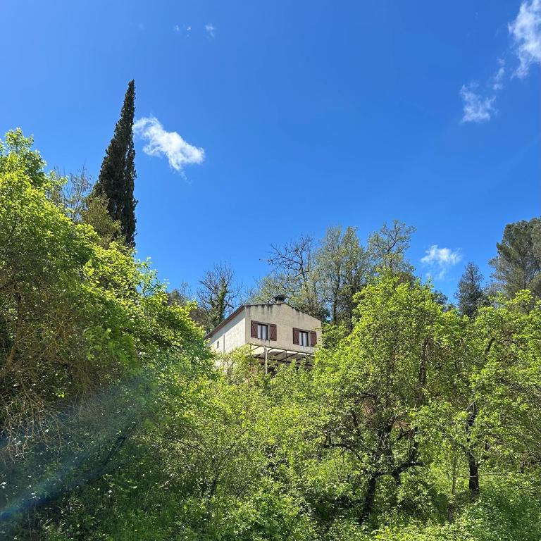 Les 4 cyprès - Maison 3 Chambres - 24