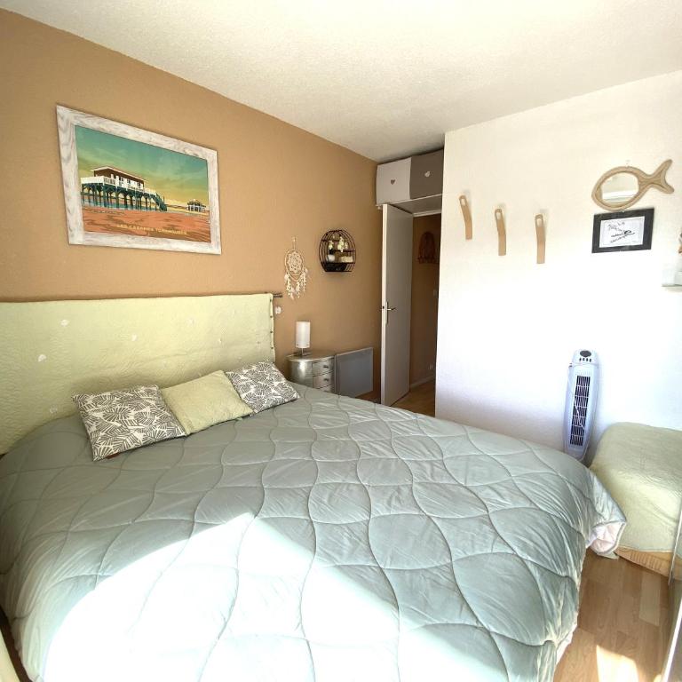 T2 Moulleau centre parking, clim, wifi,C229 - Classic One-Bedroom Apartment with King Bed - 9